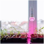 zarowka-do-roslin-led-planty-gs-11w-e27-1200k-kobi-design-5907178003152-2.jpg