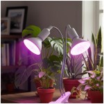 lampka-biurkowa-planty-clip-w-duo-2xe27-biala-kobi-design-5907178003190-2.jpg