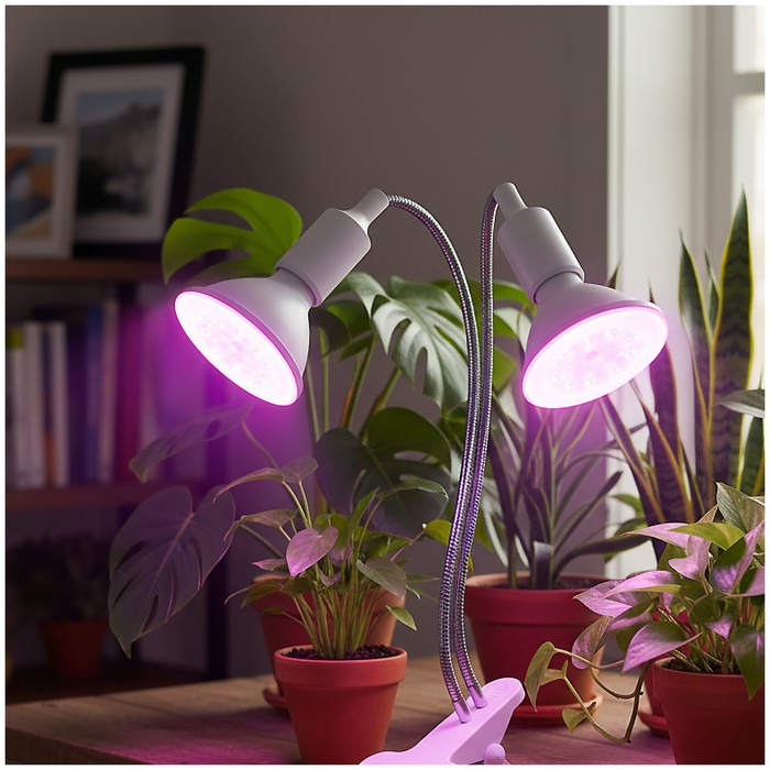 lampka-biurkowa-planty-clip-w-duo-2xe27-biala-kobi-design-5907178003190-2.jpg