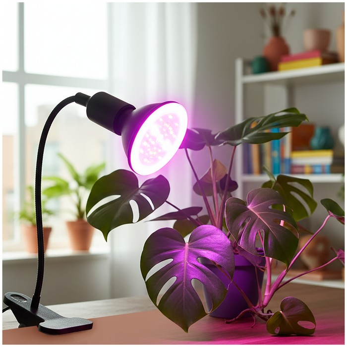 lampka-biurkowa-planty-clip-b-1xe27-czarna-kobi-design-5902201382945-2.jpg
