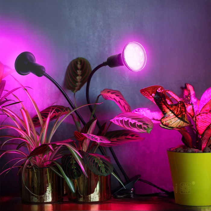 lampka-biurkowa-planty-clip-b-duo-2xe27-czarna-kobi-design-5907178003206-3.jpg