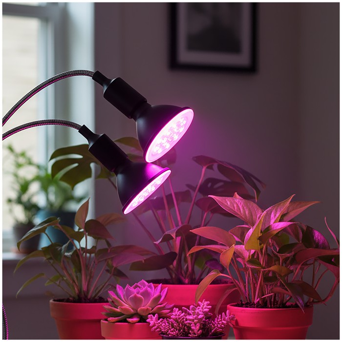 lampka-biurkowa-planty-clip-b-duo-2xe27-czarna-kobi-design-5907178003206-2.jpg