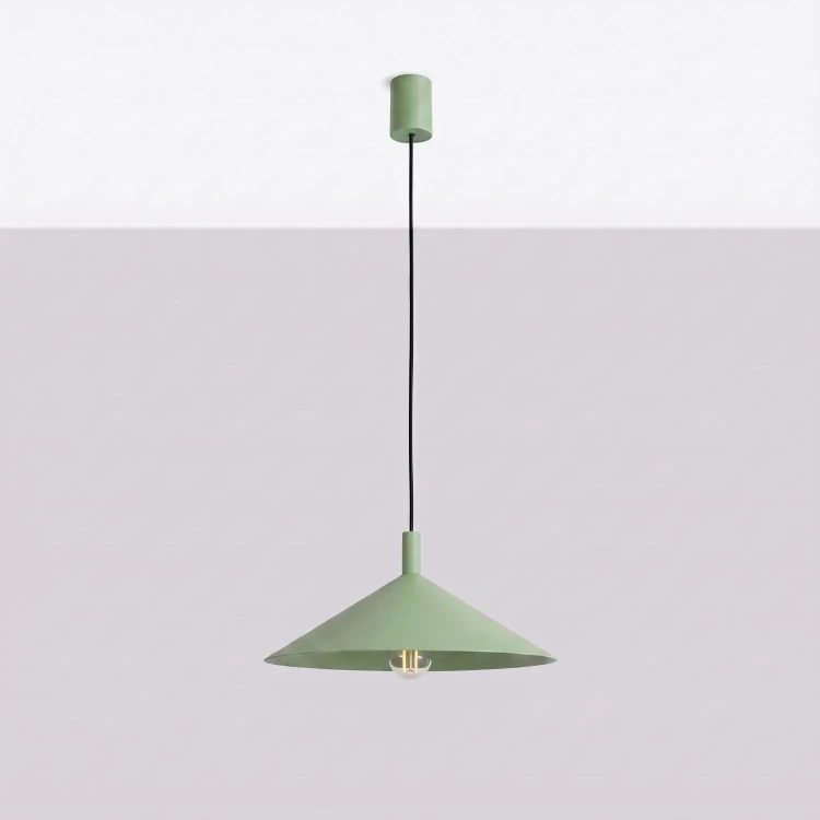 pol_pl_Lampa-wiszaca-NOX-40-szalwiowa-7489_5.webp