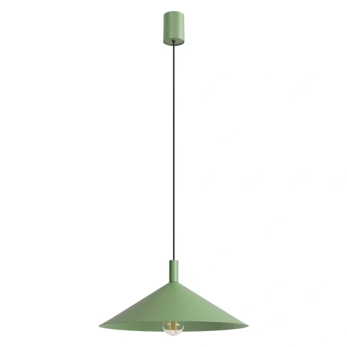 pol_pl_Lampa-wiszaca-NOX-40-szalwiowa-7489_1.webp