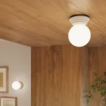 cc579f2ab9e410854acae786240794a5