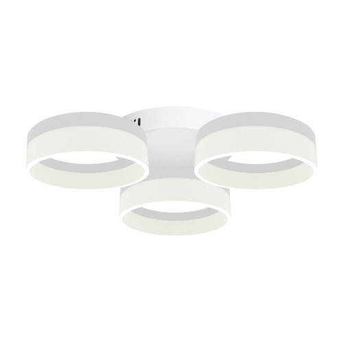 Ring 8.jpg
