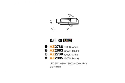 dali-30.jpg